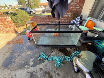 20 gallon long