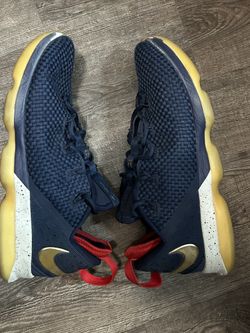 2017 Nike LeBron 14 Low 'USA Size 13