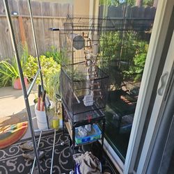 Bird Enclosure 