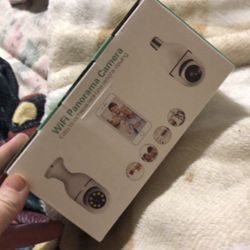 Wildfire lightbulb camera