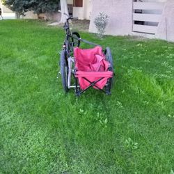 Too Man Bike With Side Car