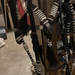 Western Bridle