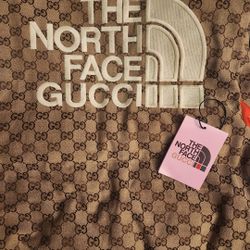 THE NORTHFACE GUCCI COLLAB PUFF VEST 