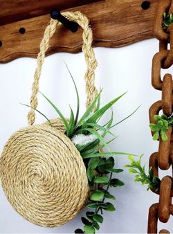 Little round rope purse 👛 w succulent plant .