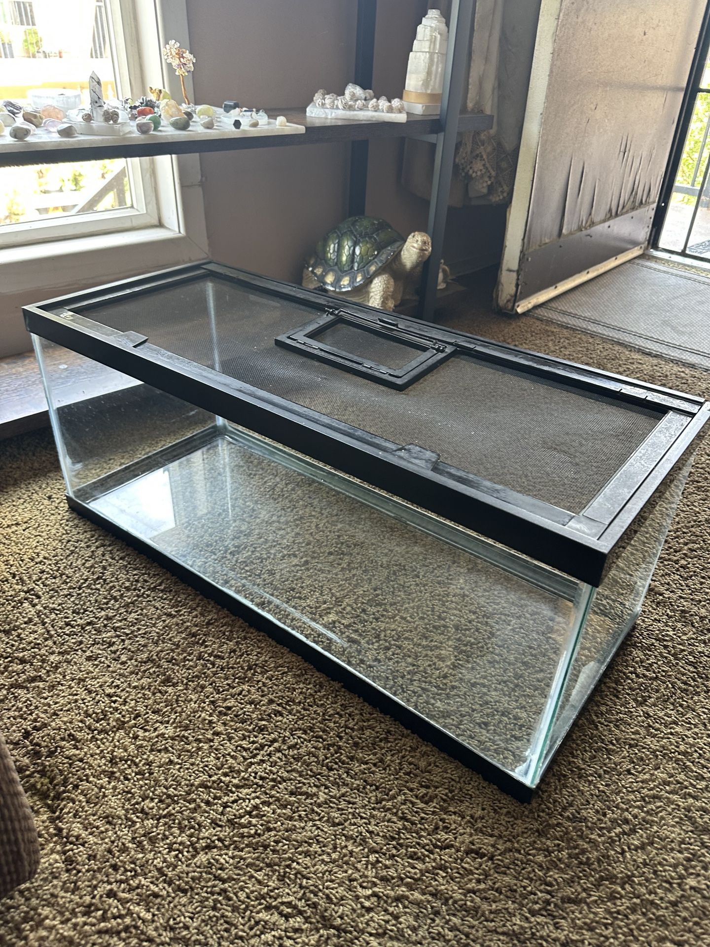 Reptile/Fish Tank