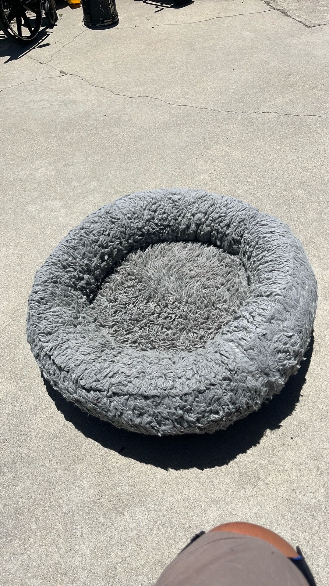Large Dog Bed approximately 36”