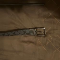 Coach Belt 