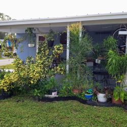 House For Sale 55 Plus, Fully Furnished, 1 Bedroom, 1 Bath, Recently Painted $20.000