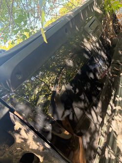 Tail gate
