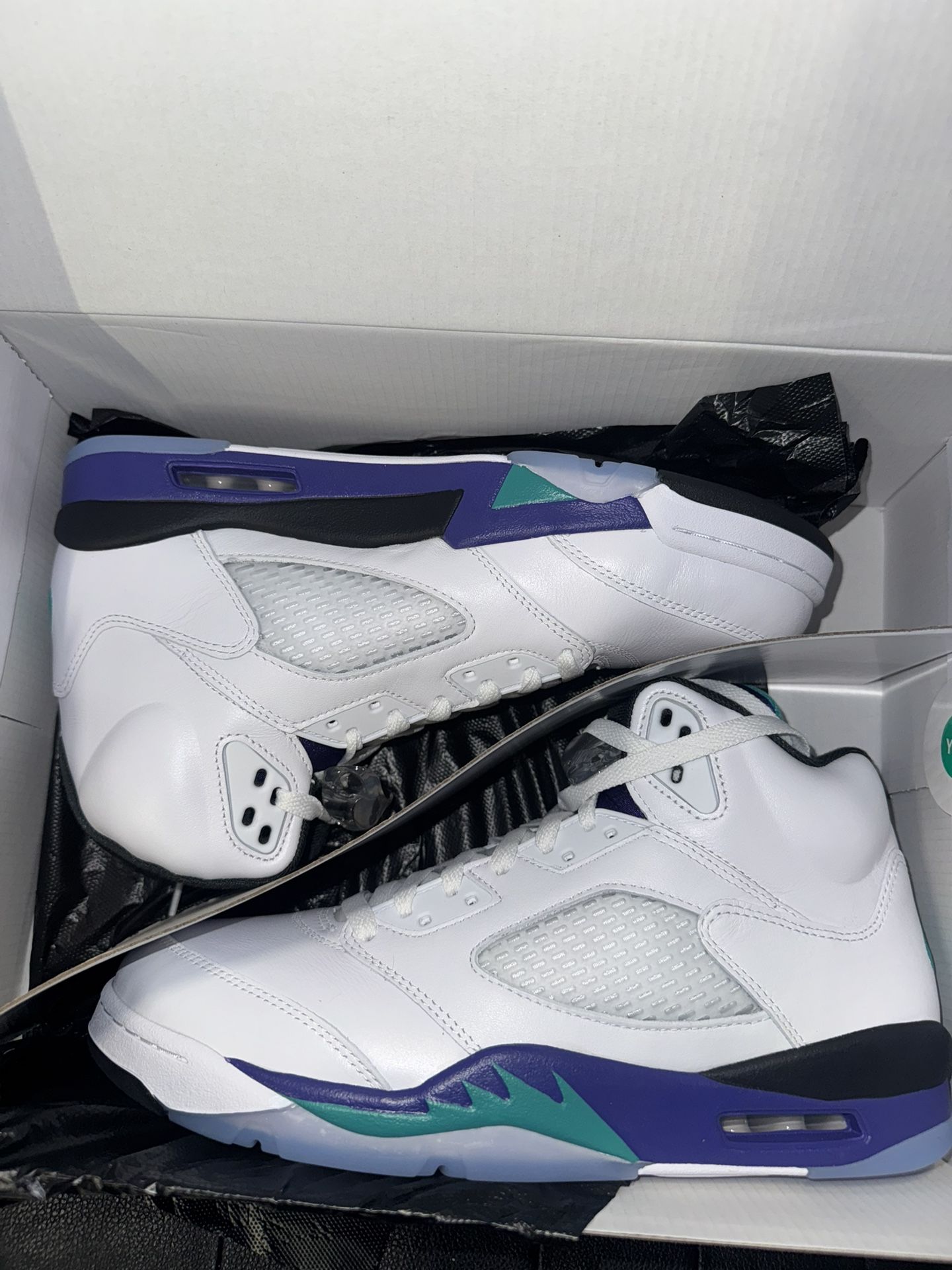 Jordan 5 Grape 2025 size 10.5 and 11