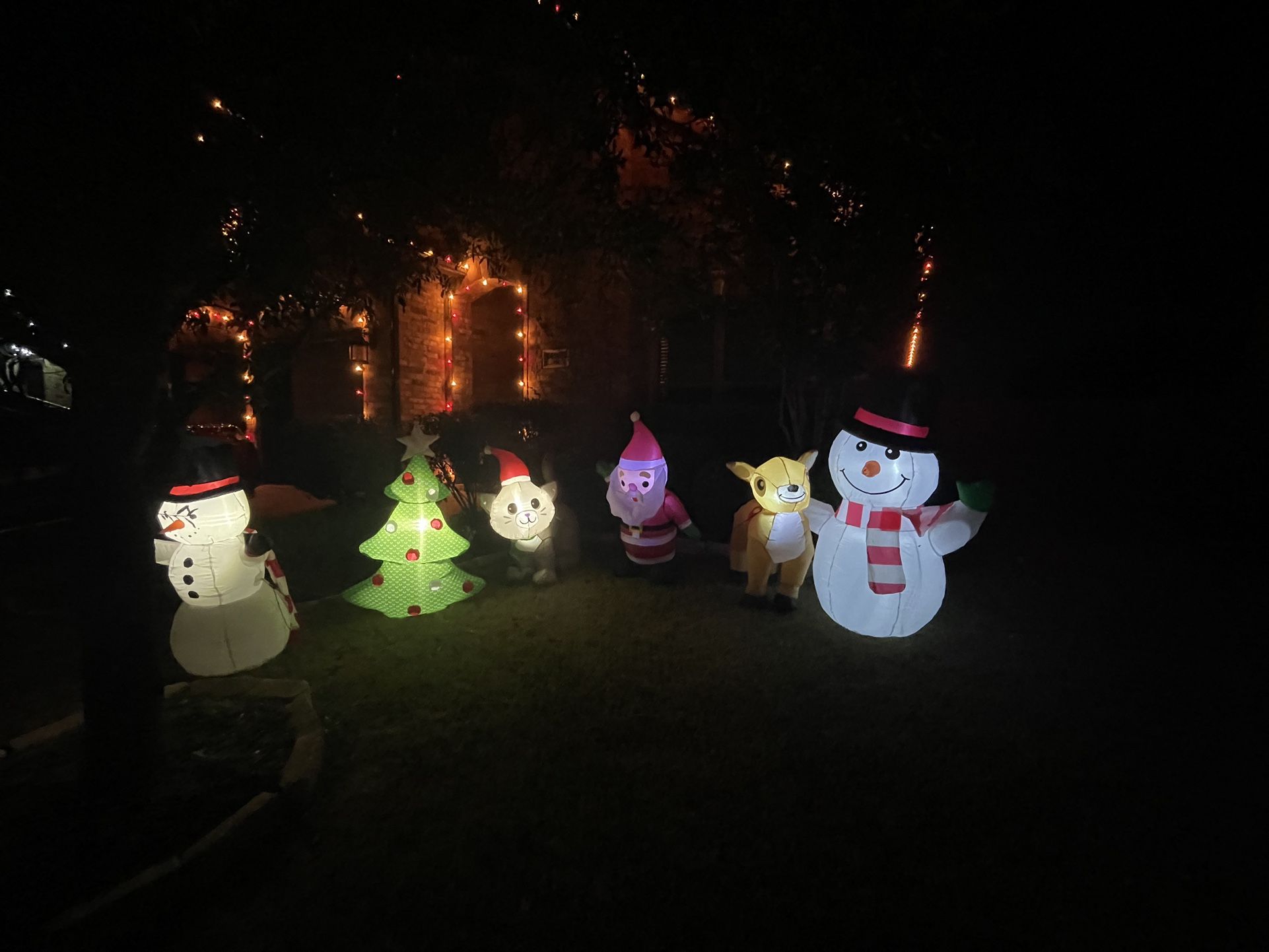 LEDs for Inflatables