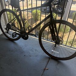 Marin 21 Four corners