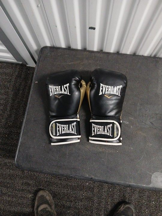 Everlast Boxing Gloves Good Cond