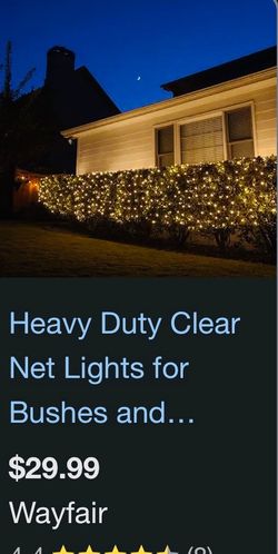Four bush lights