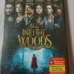 Disney Into The Woods On DVD 