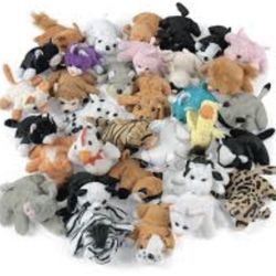 Unwanted stuffed animals