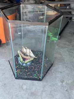 Large fish tank