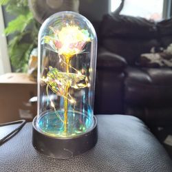 Lighted Roses In Different Colors