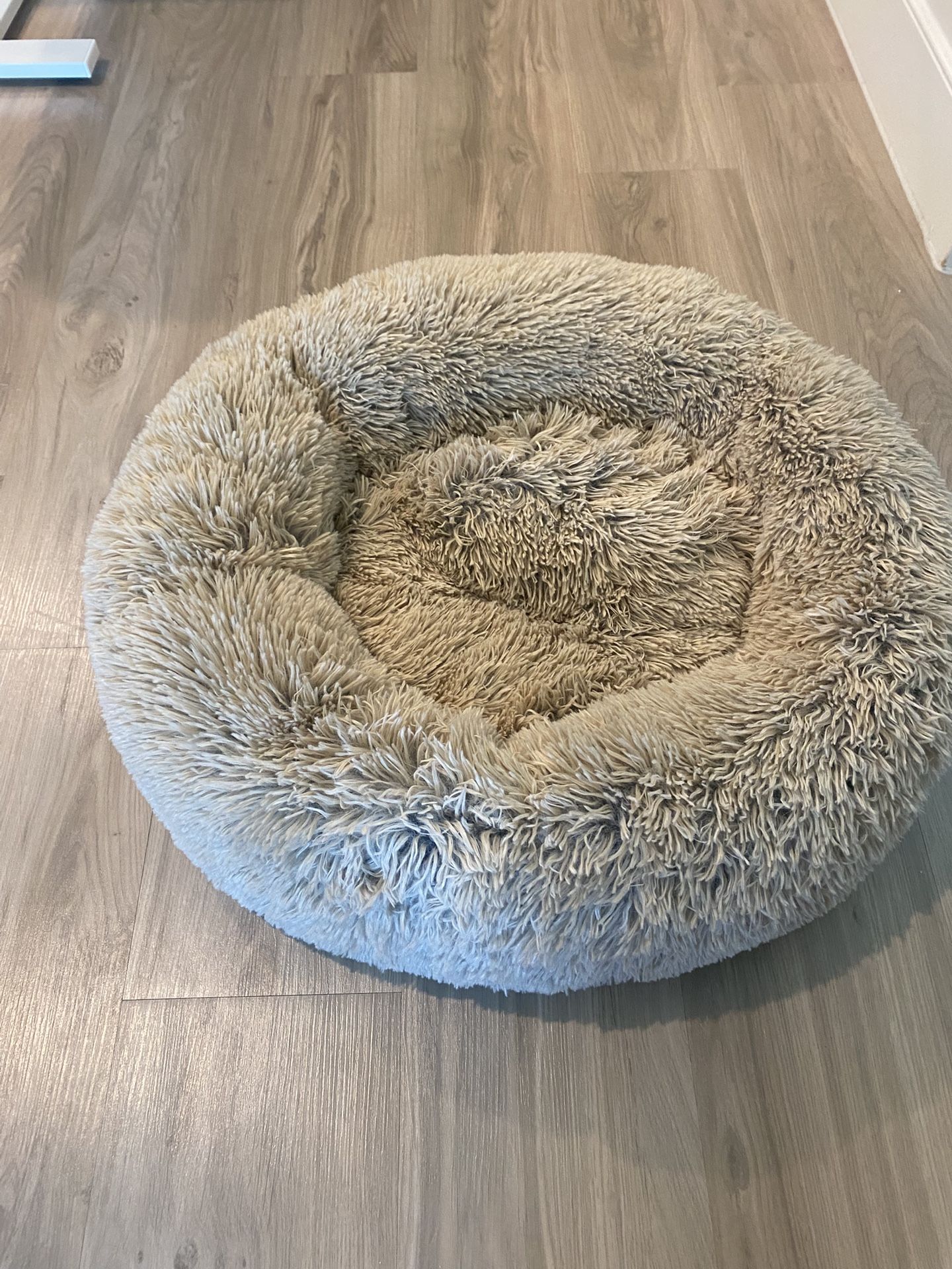 Dog Bed (NEW - Unused)