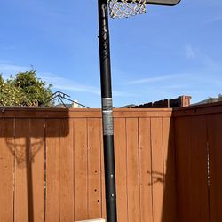 Lifetime Basketball Hoop