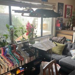 Assorted clothes hangers!