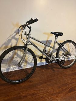 Murray Synergy Adult Bike