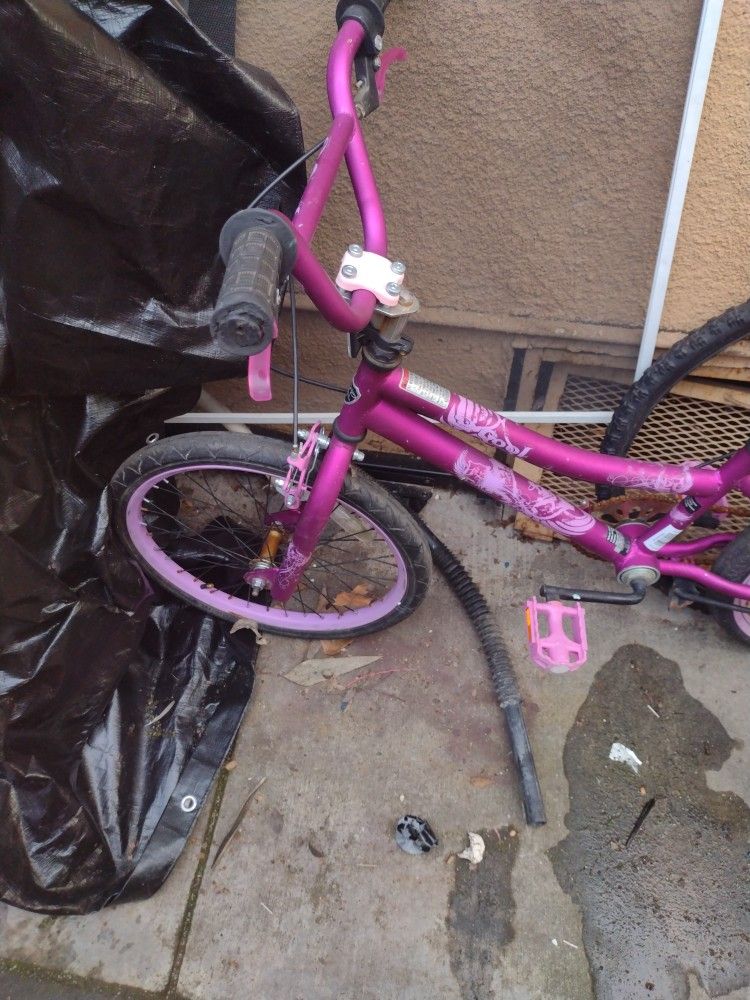20 Inch Kent Girls Bike With All The Brakes And Aired Up With Pegs