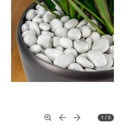 Decorative Rocks (Polypebbles)