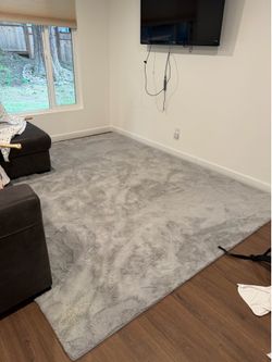 Mmlior Light Gray 8 ft. x 10 ft. Soft Faux Rabbit Fur Area Rug