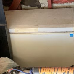Medium Size Freezer