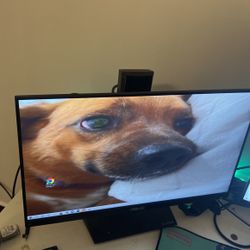 Asus- TUF VGA249q Gaming Monitor 165hz