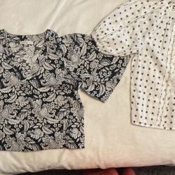 Ann Taylor LOFT blouses/shirts!