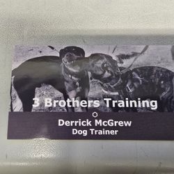 Dog Training In The Bay Area