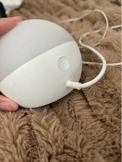 Amazon light