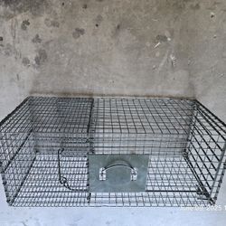 Trap For Small Animals