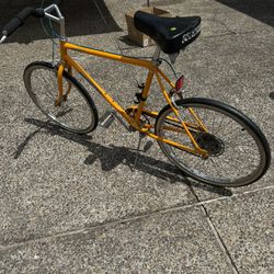 Nishiki Bike 