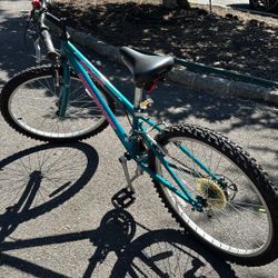 Bicycle By Mongoose Stormer 24 Inch Tires