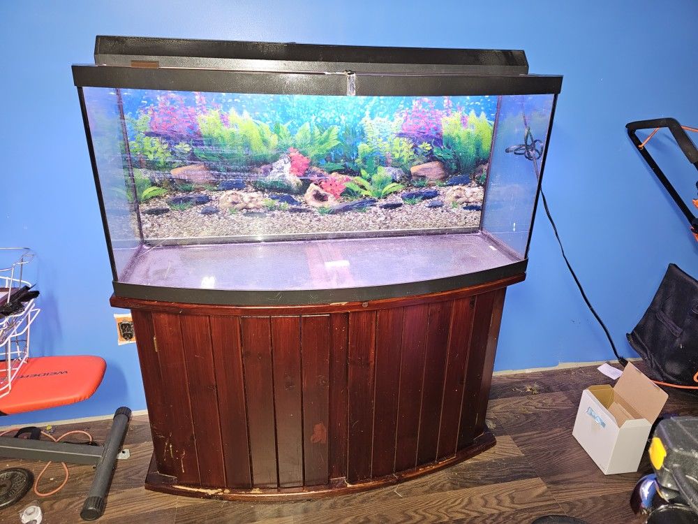 Large Bow Front Fish Tank