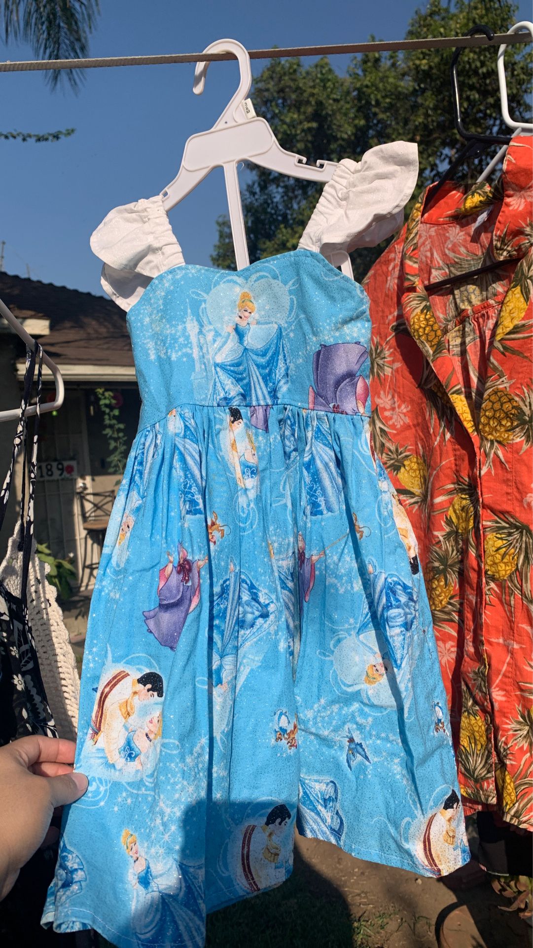 Cinderella dress