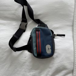 Coach Mini Bag