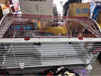 Guinea Pig Cage