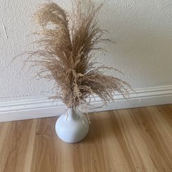 Pampas Plant With Vase 