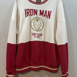 Iron Man Disney Size Small