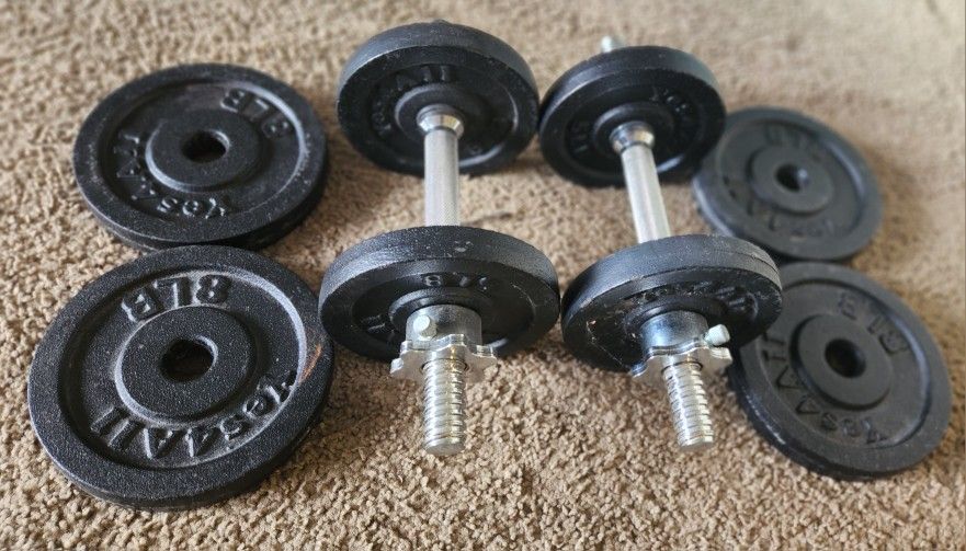 Dumbbells 8 and 5 Lbs