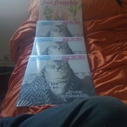 Cat Calendars