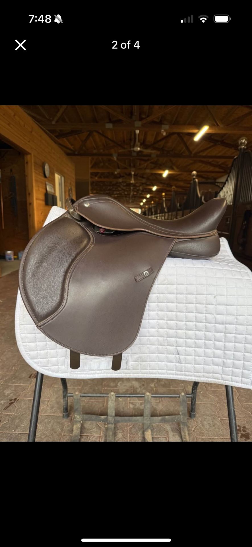 Horse Saddle