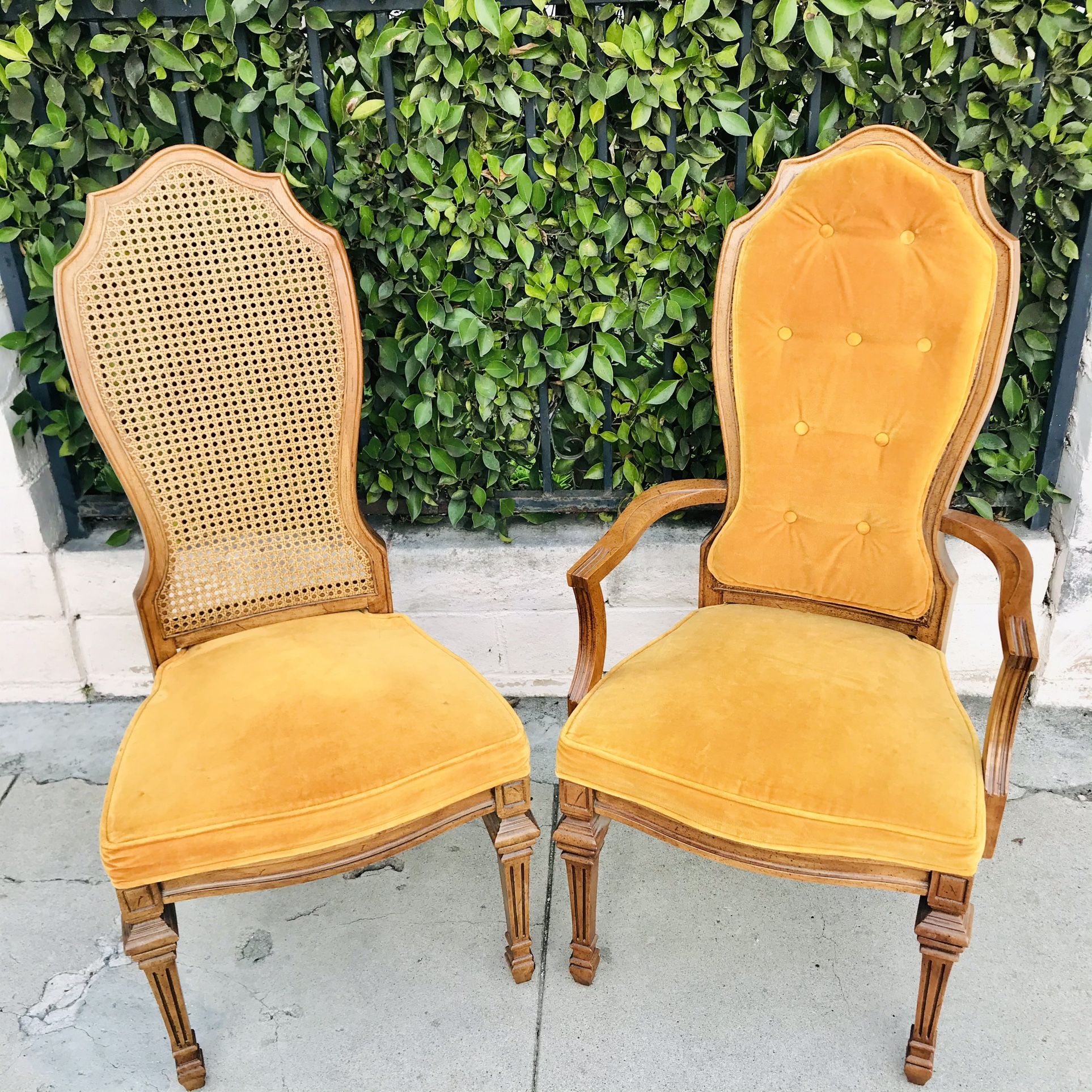 Cane Back Dining Chairs