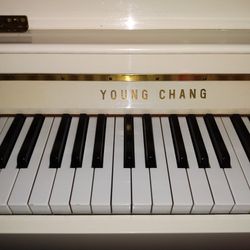 Medium YOUNG CHANG White Piano 