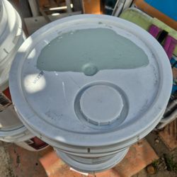 Pintura Nueva Color Pistacho $95