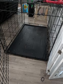 Large dog cage